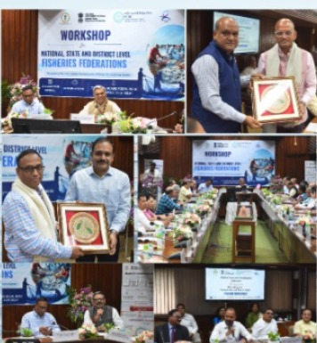 Fisheries Division of NCDC organizes workshop  